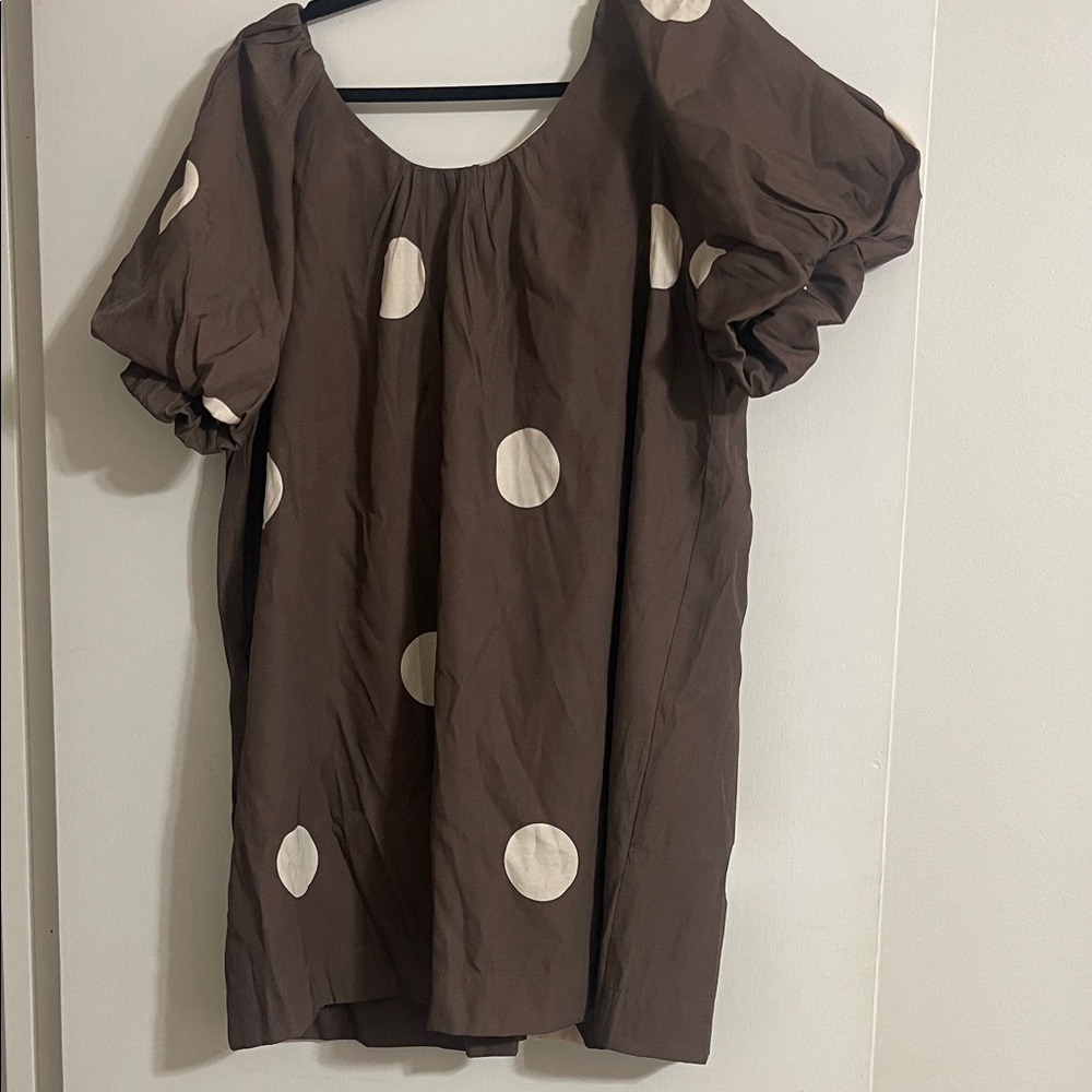 Brown Polka Dot Mini Dress